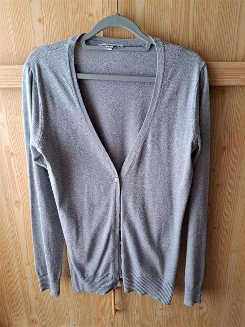 Vestje / cardigan / gilet lichtgrijs maat L, Kleding | Dames, Truien en Vesten, Zo goed als nieuw, Maat 42/44 (L), Grijs, Ophalen of Verzenden