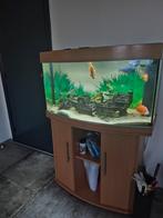 Akvaryum, Dieren en Toebehoren, Vissen | Aquaria en Toebehoren, Ophalen of Verzenden, Zo goed als nieuw