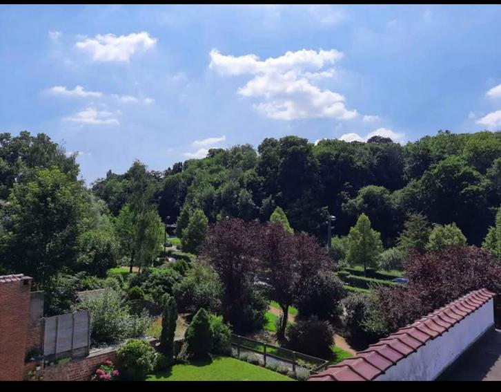 Verhuur van appartementen, Immo, Appartementen en Studio's te huur, Brussel