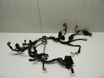CBR500R 2012 - 2015 Honda Kabelboom Kabelboom hoofd D1-44354 beschikbaar voor biedingen