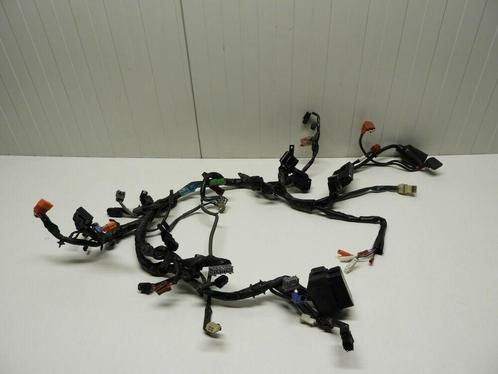 CBR500R 2012 - 2015 Honda Kabelboom Kabelboom hoofd D1-44354, Motoren, Onderdelen | Honda