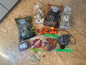 Herfst - knutsel gerief en decoratie beschikbaar voor biedingen