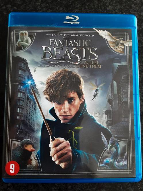 Fantastic Beasts and where to find them NL FR, Cd's en Dvd's, Blu-ray, Zo goed als nieuw, Science Fiction en Fantasy, Ophalen of Verzenden