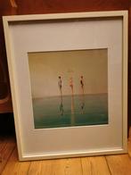 Svarbova Maria photographie, Enlèvement