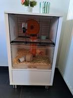 Dwerghamster met kooi van omlet, Ophalen, Gebruikt, Kooi, Hamster