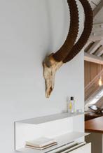 Wandplank ikea, Ophalen, Zo goed als nieuw