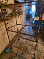 Fretten kooi, Ophalen, Kooi, Chinchilla