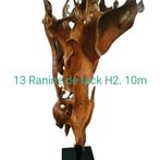 Racine de teck, Maison & Meubles