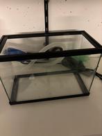 Aquarium met toebehoren, Ophalen, Gebruikt, Leeg aquarium
