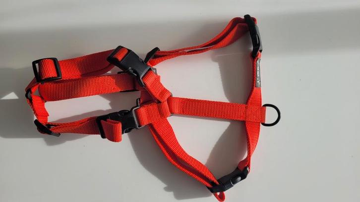 Nieuw Y-tuig voor honden – rood (maat M, 4 sluitingen), Dieren en Toebehoren, Hondenriemen, Nieuw, Ophalen of Verzenden