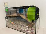 Hamster benodigdheden, Dieren en Toebehoren, Kooi, Gebruikt, Minder dan 75 cm, Hamster