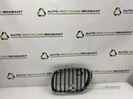 Grille van een BMW X5, Gebruikt, -, -, Ophalen of Verzenden
