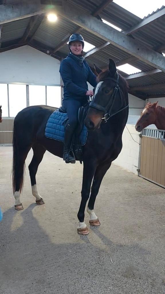 Prachtige 3 jarige dressuurmerrie, Dieren en Toebehoren, Paarden, Merrie, Zadelmak, 165 tot 170 cm, 3 tot 6 jaar, Dressuurpaard