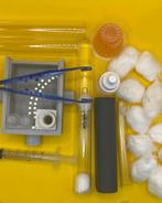 Starterset Camponotus Herculeanus, Mieren