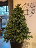 Kerstboom 1m80, Ophalen, Gebruikt