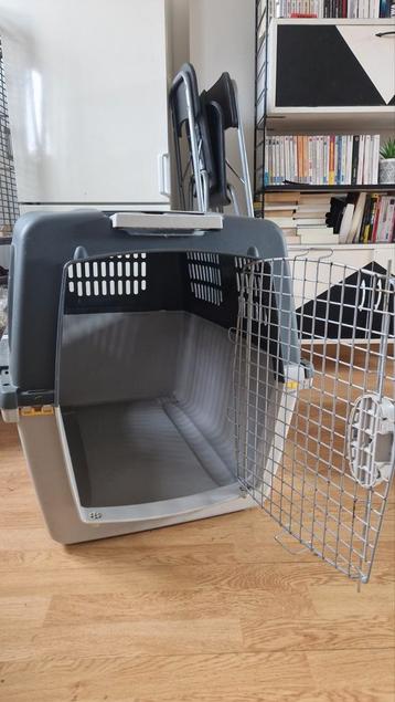Cage chien transport aerien