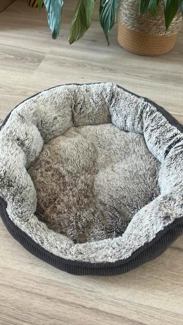 honden bed voor een chihuahua of puppy beschikbaar voor biedingen