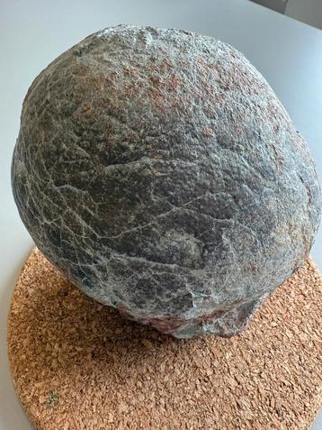 Prachtig exemplaar gefossiliseerd dinosaurusei, Enlèvement