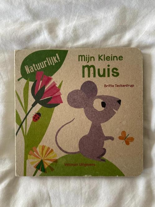 Katronboek Mijn kleine muis - Britta Teckentrup, Livres, Livres pour enfants | 0 an et plus, Utilisé, Enlèvement ou Envoi