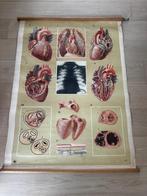 vintage rolkaarten, Antiek en Kunst, Ophalen