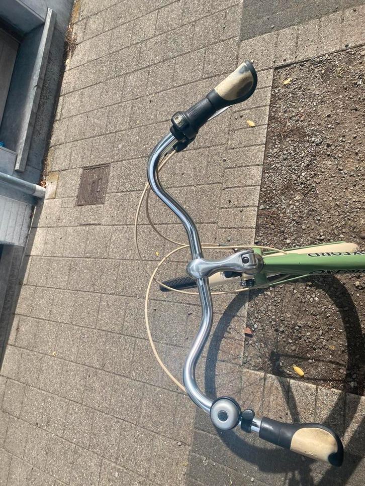 Fiets dames, Fietsen en Brommers, Fietsaccessoires | Aanhangwagens en Karren, Gebruikt, Overige typen, Ophalen