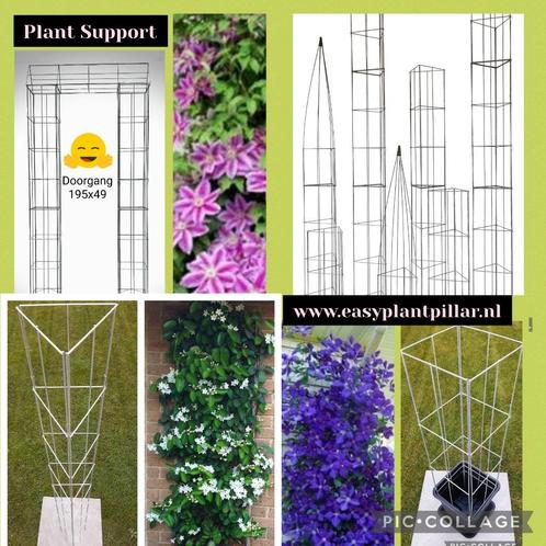 Klimsteun voor jasmijn sundaville rozen passieflora clematis, Tuin en Terras, Planten | Tuinplanten, Vaste plant, Ophalen of Verzenden