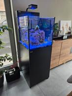 Red sea nano g2 xl, Ophalen, Zo goed als nieuw