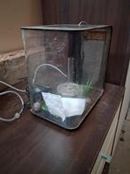 Aquarium, Dieren en Toebehoren, Vissen | Aquaria en Toebehoren, Ophalen, Gebruikt, Leeg aquarium