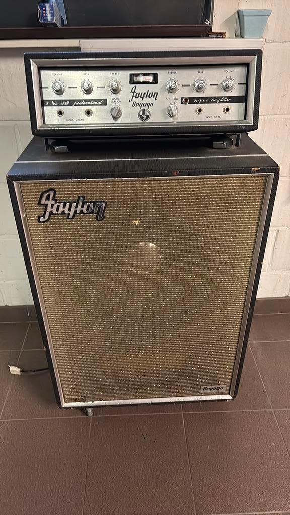 Faylon versterker Organa jaren 70, Musique & Instruments, Amplis | Basse & Guitare, Guitare, Enlèvement
