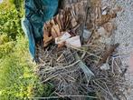 Brandhout gratis, Tuin en Terras, Brandhout, Ophalen