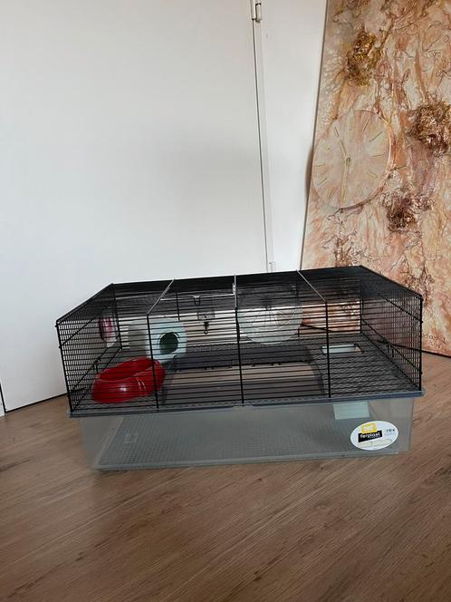 FERPLAST | Ferplast Hamsterkooi Favola Zwart, Dieren en Toebehoren, Knaagdieren en Konijnen | Hokken en Kooien, Zo goed als nieuw