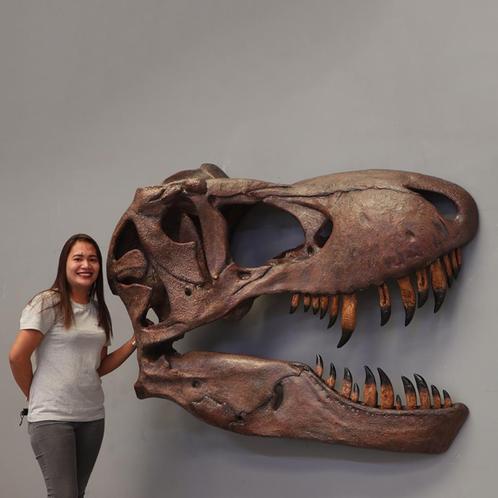 Crâne de T-rex géant - Décoration murale en polyester - 160, Collections, Collections Animaux, Neuf, Enlèvement ou Envoi