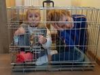 Kinder kooi, Dieren en Toebehoren, Ophalen, Hondenkennel, Gebruikt, Minder dan 65 cm