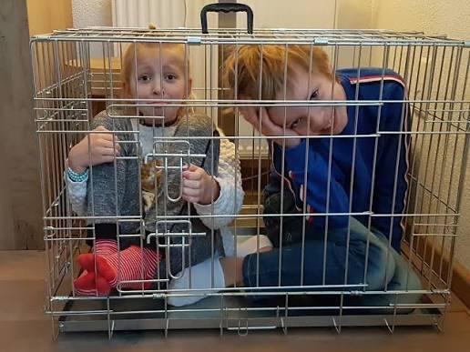 Kinder kooi, Dieren en Toebehoren, Hondenhokken, Gebruikt, Hondenkennel, Minder dan 65 cm, Minder dan 75 cm, Ophalen