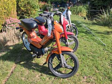 3 x peugeot fox  beschikbaar voor biedingen