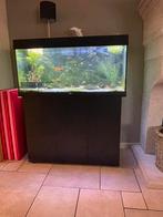Juwel rio 180 + filter + uv lamp + juwel led controler, Ophalen, Zo goed als nieuw
