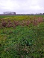 Voordroog gras, ideaal voor melkvaarzen, Zakelijke goederen, Landbouw | Veevoer, Ophalen