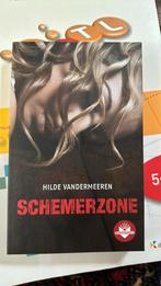 Schemerzone (Hilde Van Der Meeren), Enlèvement