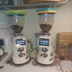 2 digitale koffiemolens (Fiorenzato F64 EVO, Enlèvement