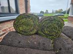 Grasmatten te koop, Tuin en Terras, Gras en Kunstgras, Ophalen