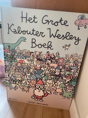 Het grote kabouter Wesley boek beschikbaar voor biedingen