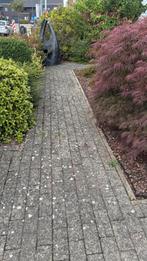 Gratis klinkers, Tuin en Terras, Ophalen, Klinkers
