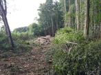 Bois de chauffage, Divers, Enlèvement