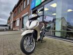 Piaggio Beverly 300 Grigio Cloud, Motos, 1 cylindre, 12 à 35 kW, Scooter, 300 cm³