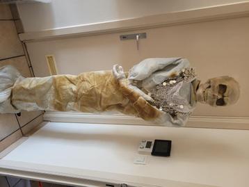 Cursed mummy  beschikbaar voor biedingen