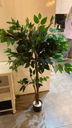 Plante artificielle, Enlèvement, Utilisé, Intérieur