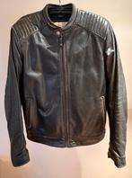 Motor Jas / motorvest / leder, Kleding | Heren, Ophalen, Zo goed als nieuw, Maat 52/54 (L)