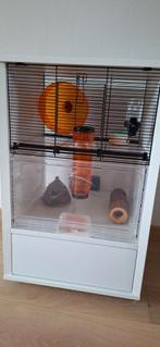 Cage à hamster ou gerbie, Kooi, Zo goed als nieuw, Ophalen, Hamster