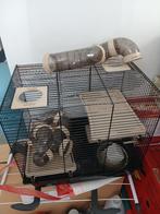 Hamsterkooi, Dieren en Toebehoren, Kooi, Minder dan 75 cm, Zo goed als nieuw, Hamster