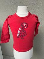 noppies 74, Kinderen en Baby's, Babykleding | Maat 74, Gebruikt, Ophalen of Verzenden, Jongetje, Noppies